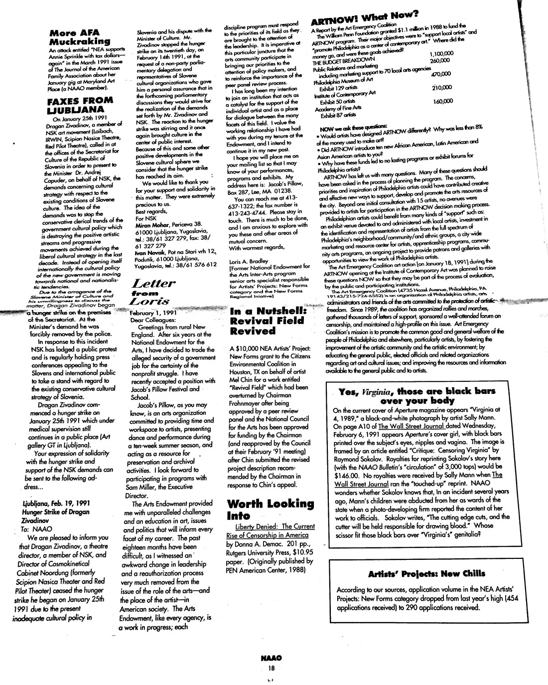 March 1991 - NAAO Bulletin Page 17.jpg
